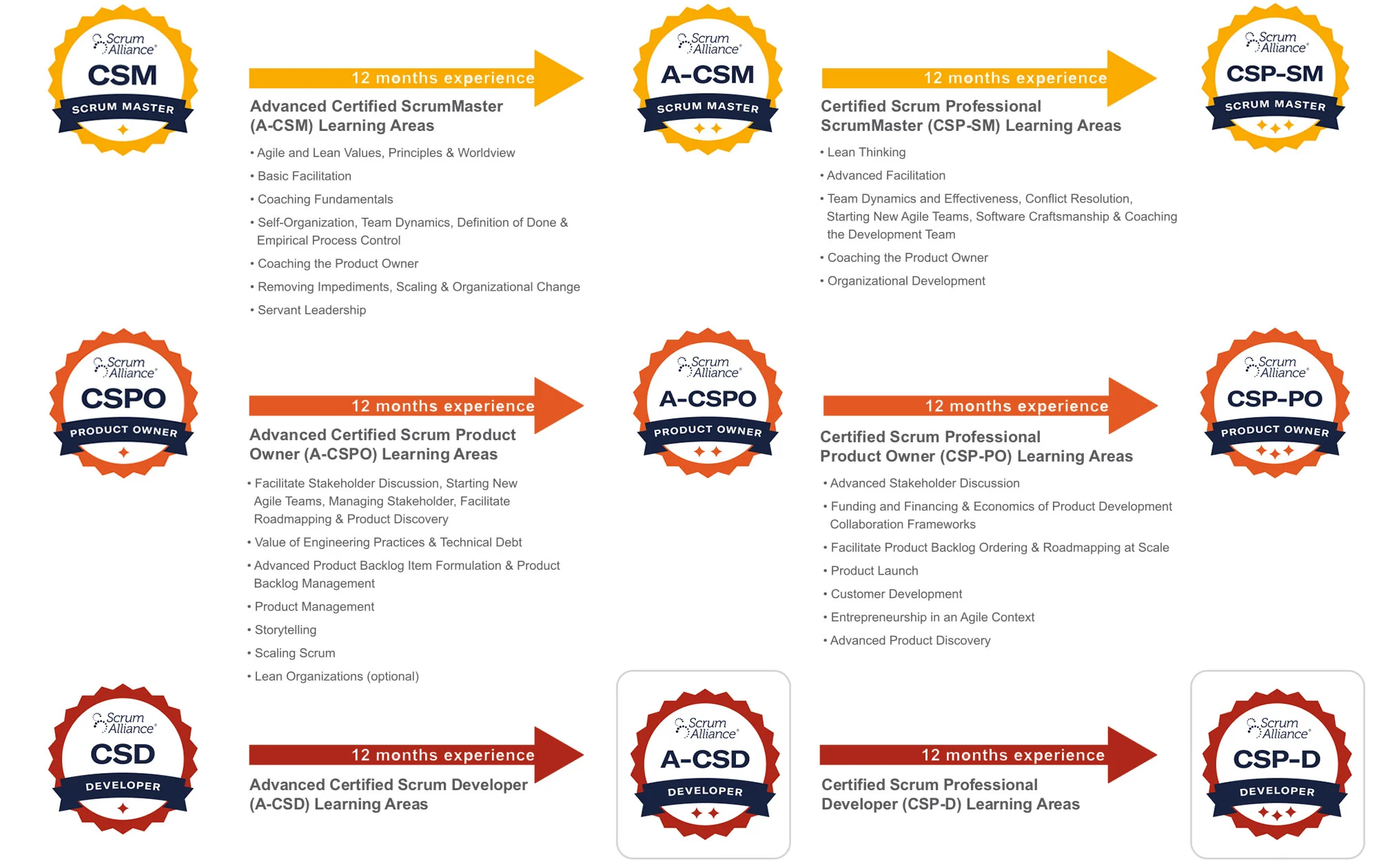 Wozu dient eine Scrum Zertifizierung?